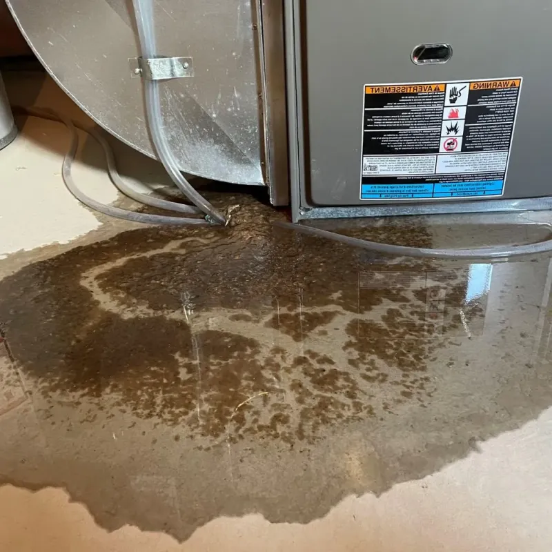 Pipe Burst and Leak Restoration in Pulaski County, KY