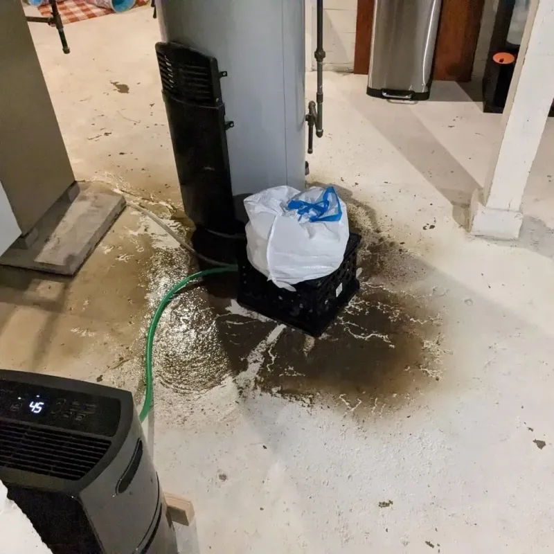 Sewage Backup Cleanup Service in Pulaski County, KY